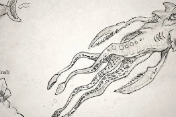 Kraken onion 2024