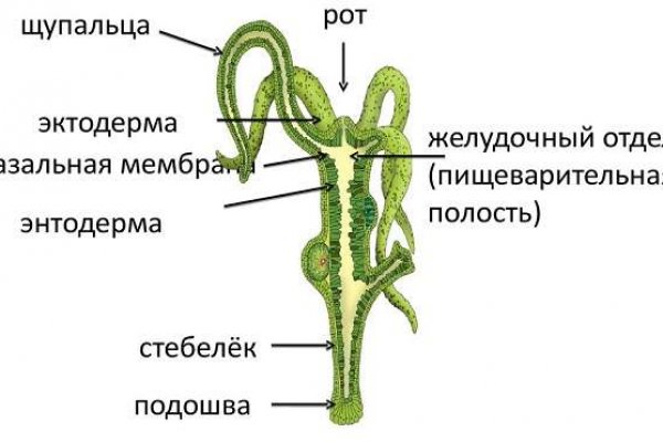 Ссылки онион